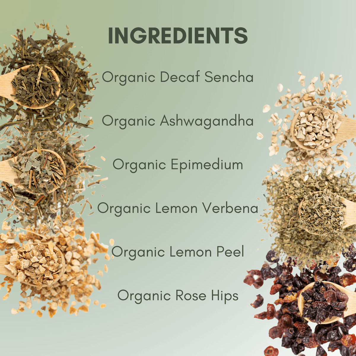 Organic Decaf Live Fit Tea - Loose Leaf Tea - Full Leaf Tea Company