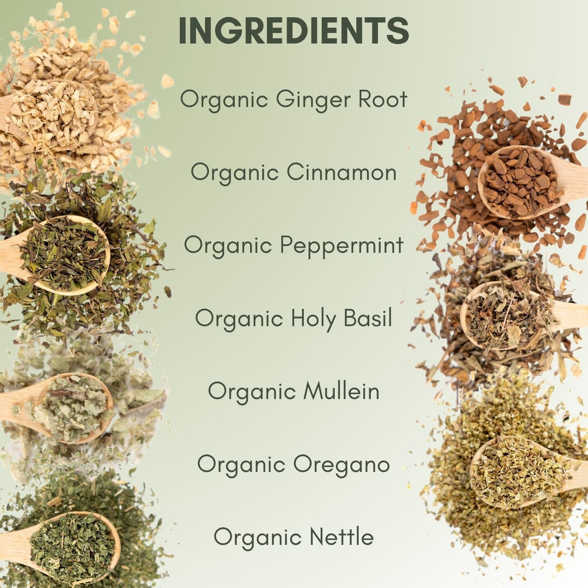 An Ingredient list for Organic Congestion Relief Tea.