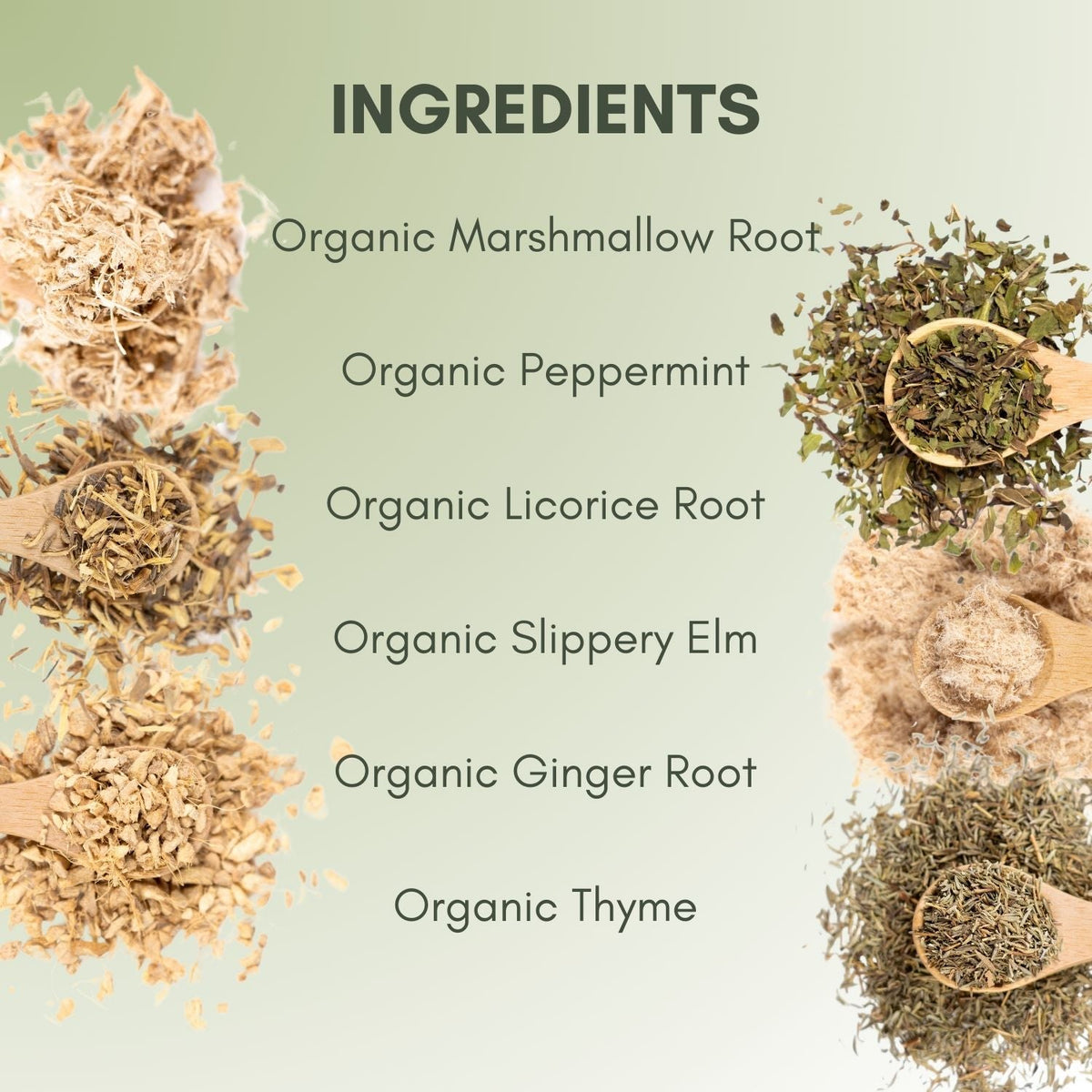An Ingredient list for Organic Cough Relief Tea.