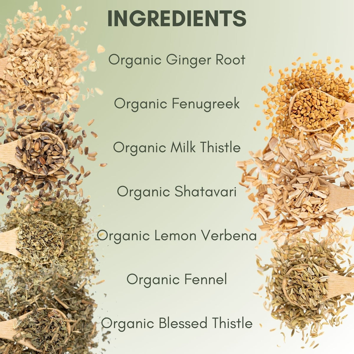 An Ingredient list for Organic Lactation Boost.