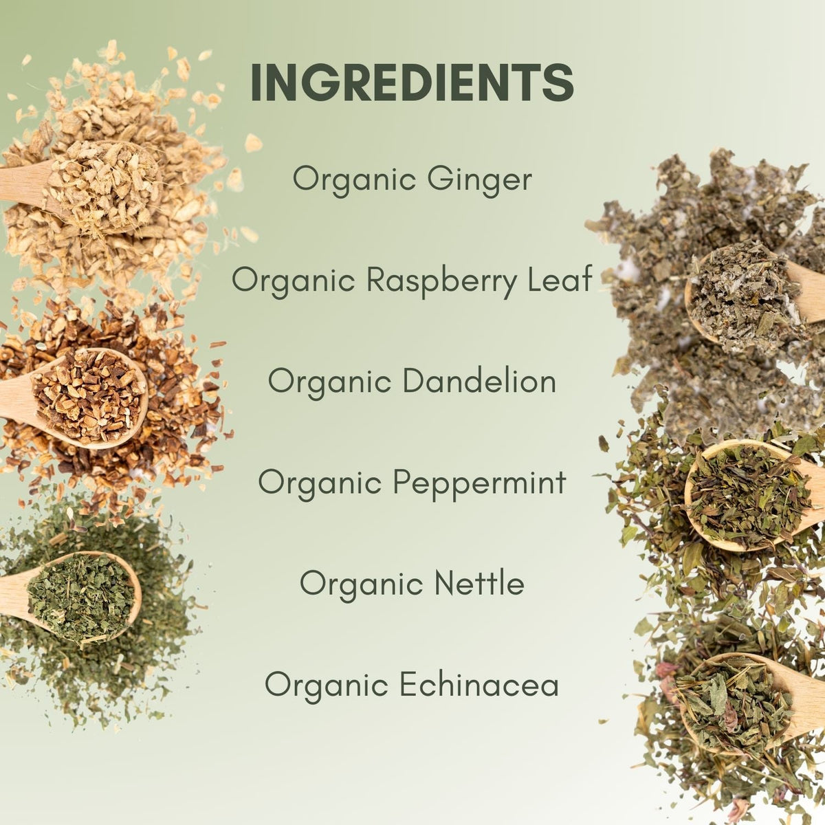 An Ingredient list for Organic Pregnancy Support Tea.