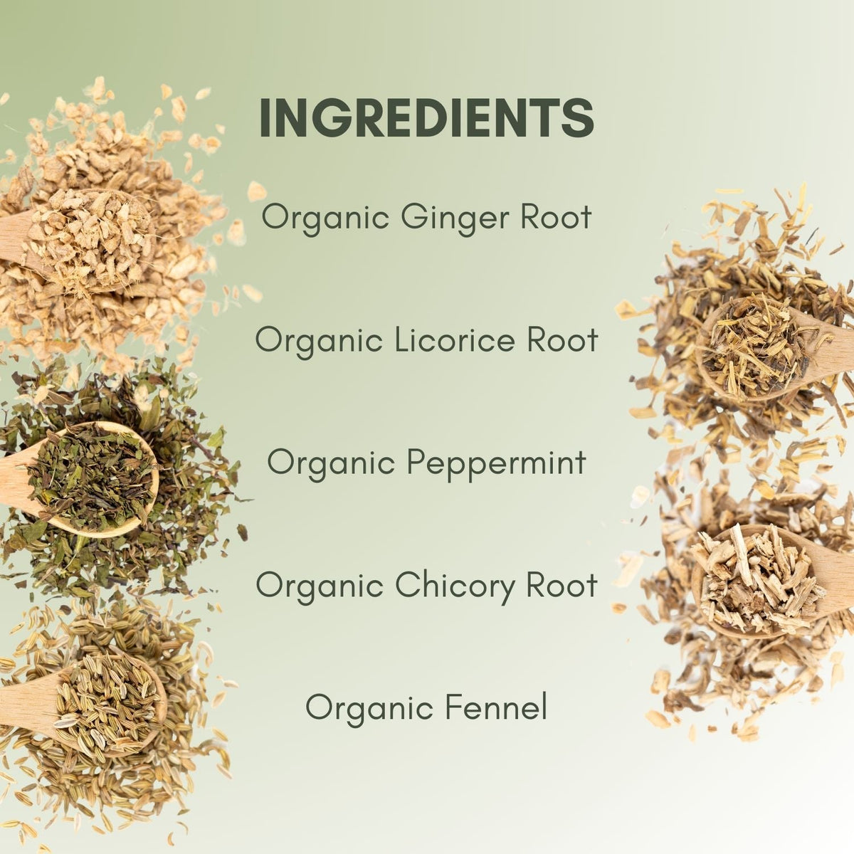 An Ingredient list for Organic Tummy Balance Tea.